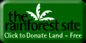 The Rainforest Site